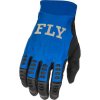 Rukavice Evolution DST 2022 Blue/Black