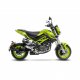 LV-10 Carbon Slip-on BENELLI TNT TORNADO NAKED T 135 (17-23), TNT TORNADO NAKED T 125 (17-24) LV-10 Carbon Slip-on BENELLI TNT TORNADO NAKED T 135 (17-23), TNT TORNADO NAKED T 125 (17-24)