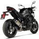 Slip-On Line Titanium Kawasaki Z 900 (25) Slip-On Line Titanium Kawasaki Z 900 (25)