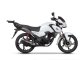Top Master H0CF11ST HONDA CB125F (21-26)