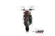 DELTA RACE Carbon HONDA CB 750 HORNET (23-24), CB 750 HORNET (25-26)