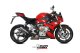 X-M1 Titanium BMW S 1000 R (21-24), S 1000 R (25-26)