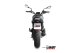 MK3 Carbon BENELLI LEONCINO 800 (22-24)