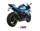 DELTA RACE Carbon SUZUKI GSX-R 1000 (17-20)