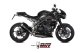 DELTA RACE Carbon TRIUMPH SPEED TRIPLE 1050 R / S / RS (18-20)