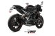 DELTA RACE Carbon TRIUMPH SPEED TRIPLE 1050 R / S / RS (18-20)