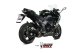 DELTA RACE SB KAWASAKI NINJA 1000 SX / TOURER (20-24)