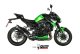 DELTA RACE SB KAWASAKI Z900 (20-24)