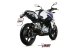 DELTA RACE SB BMW G 310 R (18-24)