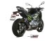 DELTA RACE SB KAWASAKI Z900 (17-19), Z900 A2 (35 KW / 70 KW) (17-24), Z900 A2 (35 KW / 70 KW) (25-26)