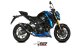 GP Carbon SUZUKI GSX-S 750 (17-20)