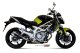 GP Carbon SUZUKI GLADIUS (09-15)