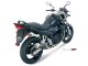 GP Carbon SUZUKI GSF 650 BANDIT (05-06)