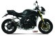 GP Carbon TRIUMPH SPEED TRIPLE 1050 R / S / RS (05-06)