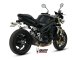 GP Carbon TRIUMPH SPEED TRIPLE 1050 R / S / RS (05-06)