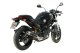 GP Carbon DUCATI MONSTER 695 (06-08)