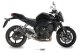 GP Carbon YAMAHA FZ1 / FZ1 FAZER (06-16)