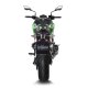 14172EU LV Pro Carbon KAWASAKI Z 900 (17-26), Z 900 A2 (18-26)