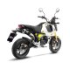 15253CU LV-10 Carbon HONDA MSX 125 / GROM (22-24)