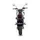 15253CU LV-10 Carbon HONDA MSX 125 / GROM (22-24)