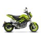 15262 LV-10 BENELLI TNT TORNADO NAKED T 125 (17-24), TNT TORNADO NAKED T 135 (17-23)
