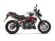 S-A9SO1-HDT/1 Výfukové koncovky Aprilia SHIVER 900 (17-20)
