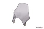 Plexi Naked 2133 HONDA CB600F HORNET (03-04)