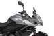 Plexi Sport Screen 22522 TRIUMPH TIGER SPORT 800 (25)