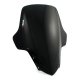 Plexi Touring Screen 4101 YAMAHA FZ1 FAZER (06-15)