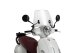 Plexi Trafic 20844 SYM FIDDLE 125 ie 4T AC (21-23), FIDDLE 125 ie 4T LC (21-25), FIDDLE 50 ie 4T AC E5 (21-25)