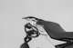 Ľavý nosič SLC HTA.07.862.10000 čierna, BMW G 310 GS (17-)