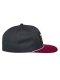 Intuitive Snapback (sivá/červená)