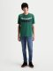Singular (zelená)