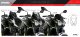 Plexi New Generation Sport 3864 KAWASAKI Z650 (20-26)