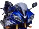 Standard Screens Yamaha YZF R6 (06-07)