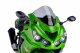 Racing Screens Kawasaki ZZR 1400 (06-21) Racing Screens Kawasaki ZZR 1400 (06-21)