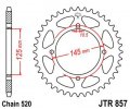 JTR 857-39 Yamaha / Muž